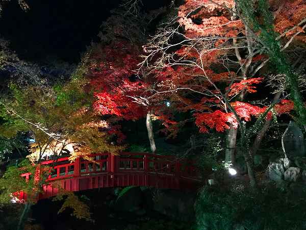 熱海梅園もみじまつり