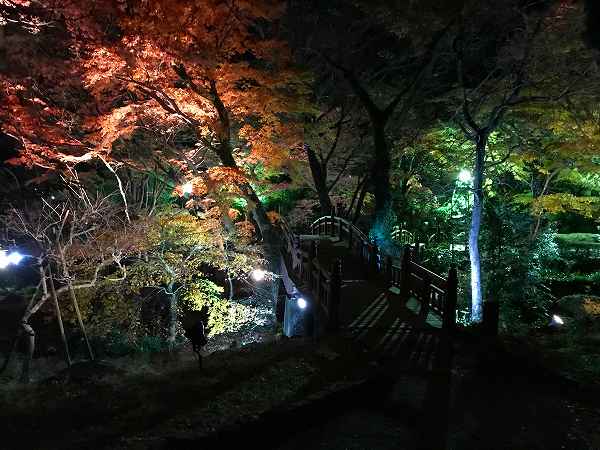 熱海梅園もみじまつり