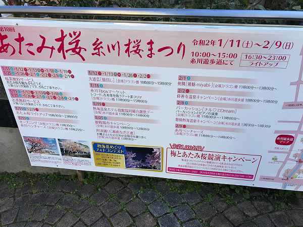 熱海 糸川桜まつり(2020年)