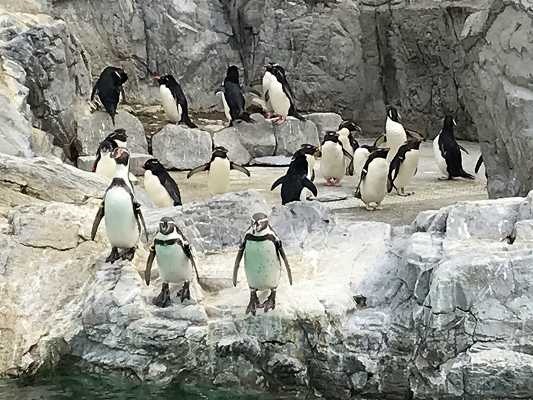 葛西臨海水族園