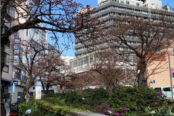 手打ち蕎麦 砂場 伊豆高原