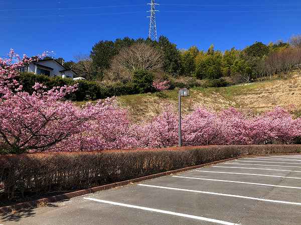 ゆめ公園（湯河原総合運動公園）　湯河原町吉浜