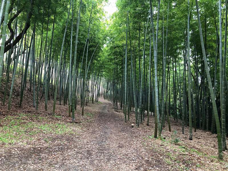 貸別荘　熱海ドーム山荘