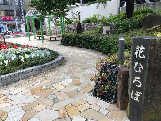 花ひろば