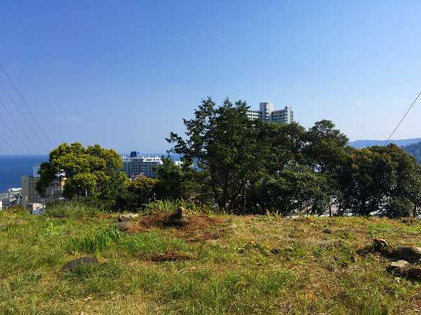 樹木伐採 ④