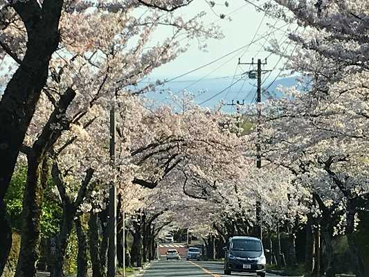 伊豆高原