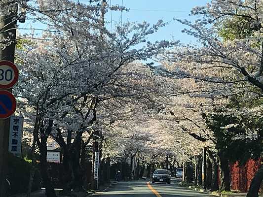 伊豆高原