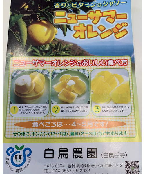 ニューサマーオレンジ
