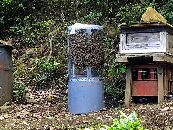 養蜂の出来る家(別荘)