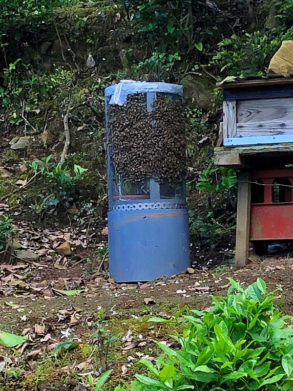 養蜂の出来る家（別荘）