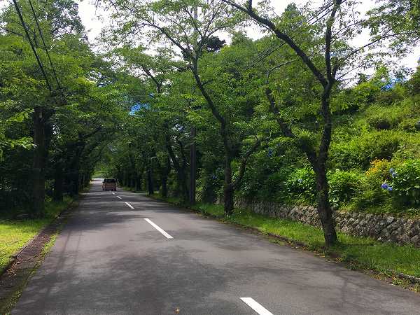 久々の伊豆高原