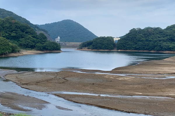 パンパスグラス　伊東松川湖