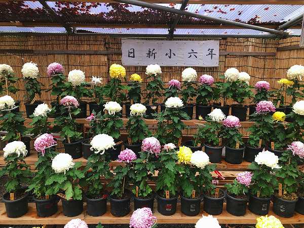 大國魂神社