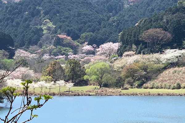 奥野ダム