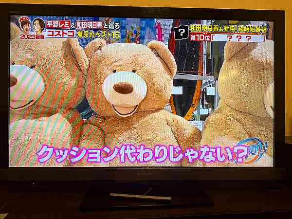 コストコ熊の大冒険~その後