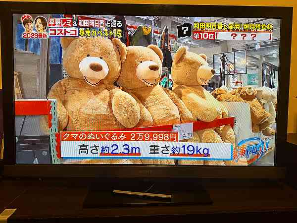 コストコ熊の大冒険~その後