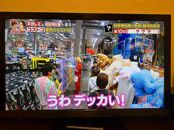 コストコ熊の大冒険~その後
