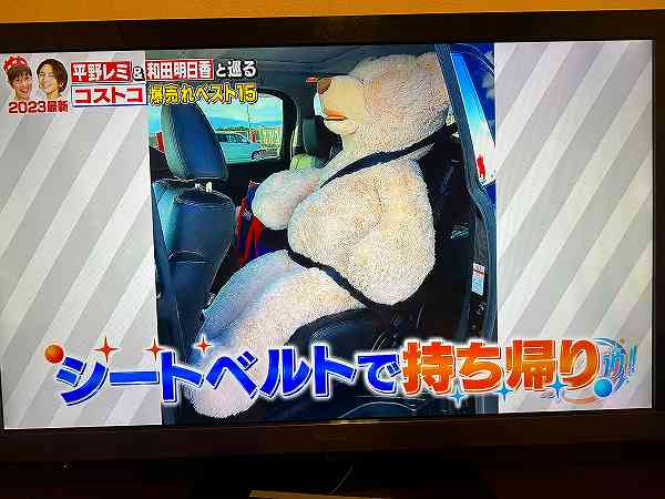 コストコ熊の大冒険~その後