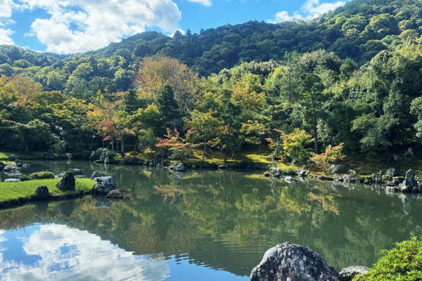 ~京都旅行~2024秋【2日目】