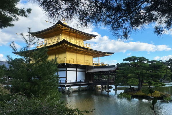 ~京都旅行~2024秋【2日目】
