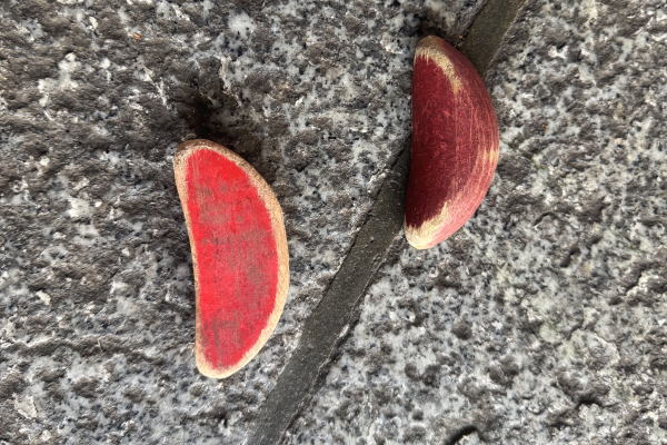 台湾旅行～2日目～