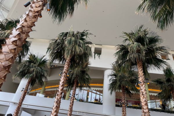 ランチビュッフェ＆鎌倉寺巡り