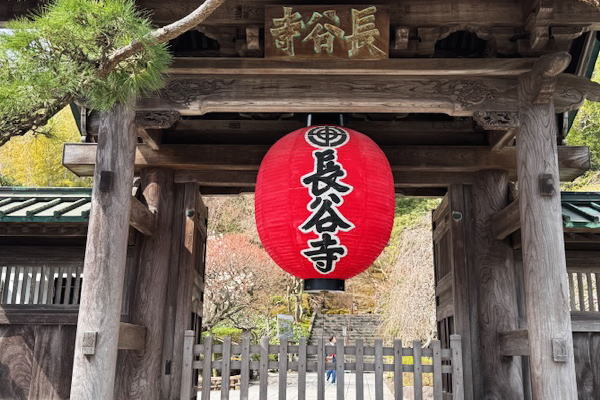 ランチビュッフェ＆鎌倉寺巡り