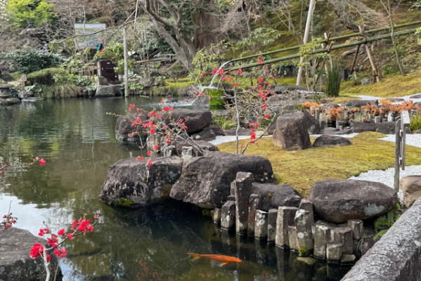 ランチビュッフェ＆鎌倉寺巡り