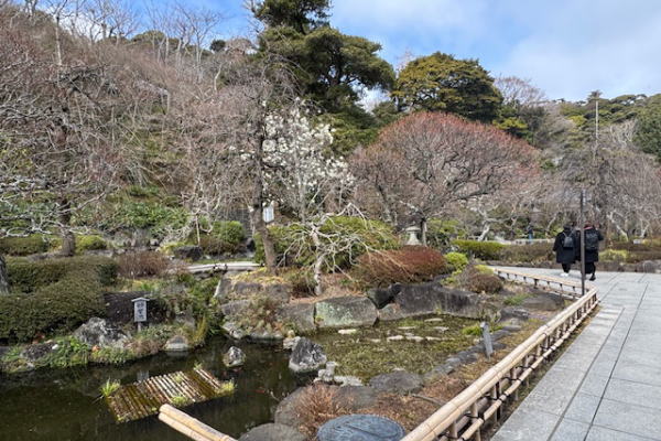 ランチビュッフェ＆鎌倉寺巡り