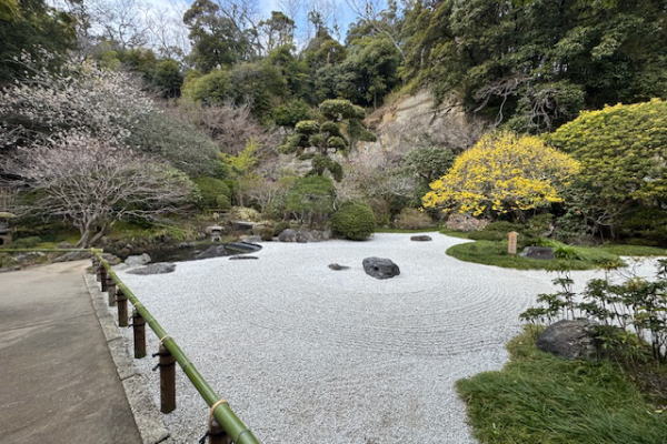 ランチビュッフェ＆鎌倉寺巡り