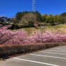 ゆめ公園（湯河原総合運動公園）　湯河原町吉浜