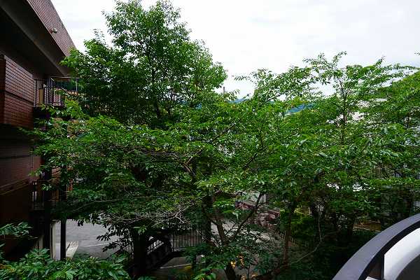 バルコニーからの眺望です。涼し気な木々の緑に癒されます
