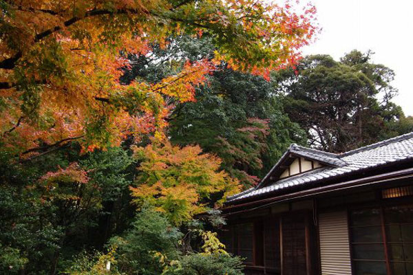 熱海市西山町 古き良き時代の優美な気品を醸し出す日本家屋 熱海 湯河原 南箱根の不動産 別荘はワンストップ 熱海市役所横