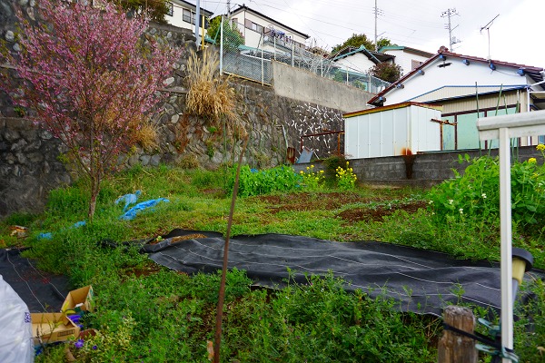 田方郡函南町 閑静な住宅地で広い菜園スペース付中古戸建 オーナーチェンジ 熱海 湯河原 南箱根の不動産 別荘はワンストップ 熱海市役所横