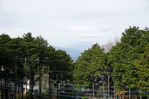 撮影時は曇ってましたが、快晴時には富士山が望めます