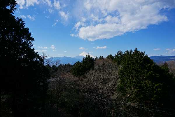 緑の木々の合間から富士山が望めます