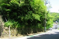 熱海市緑が丘町・約416坪の温泉引込可能で陽当たり良好の売地