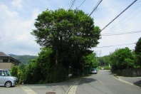 湯河原町鍛冶屋・約1620坪の陽当たり良好で広大な売地
