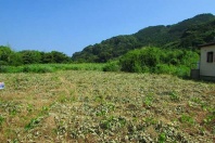 湯河原町鍛冶屋・山並みを望む敷地約685坪の平坦&陽当たり良好の売地