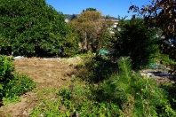 湯河原町鍛冶屋・敷地面積約100坪、現況果樹が植樹され緑に包まれた陽当たり良好の売地