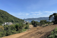 熱海市上多賀・海を望む高台&自然豊かな南熱海の広大な売地 約900坪