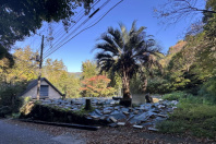 熱海市泉・四季折々の自然に包まれる温泉付き売地　約195坪