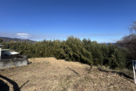 真鶴町真鶴・歴史と潮風を感じる600坪超の開放的な更地　約674坪