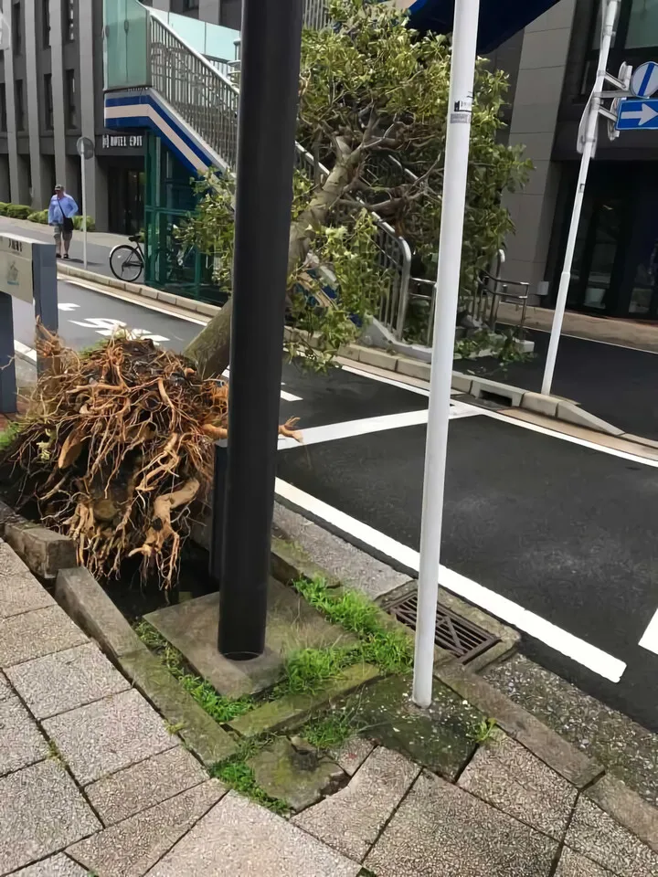 たいふう等