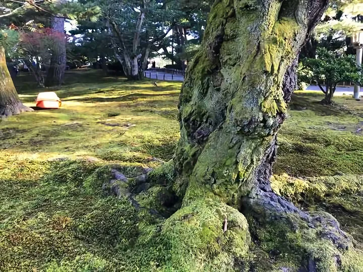 金沢旅行②