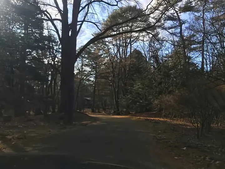 軽井沢