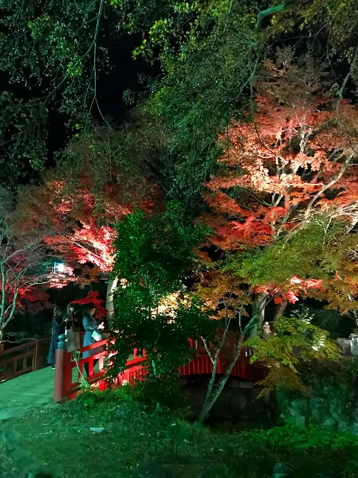 熱海梅園もみじまつり
