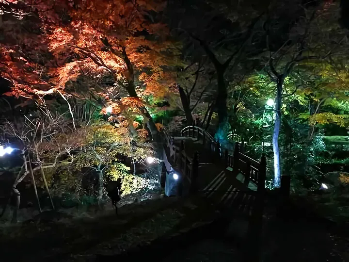 熱海梅園もみじまつり