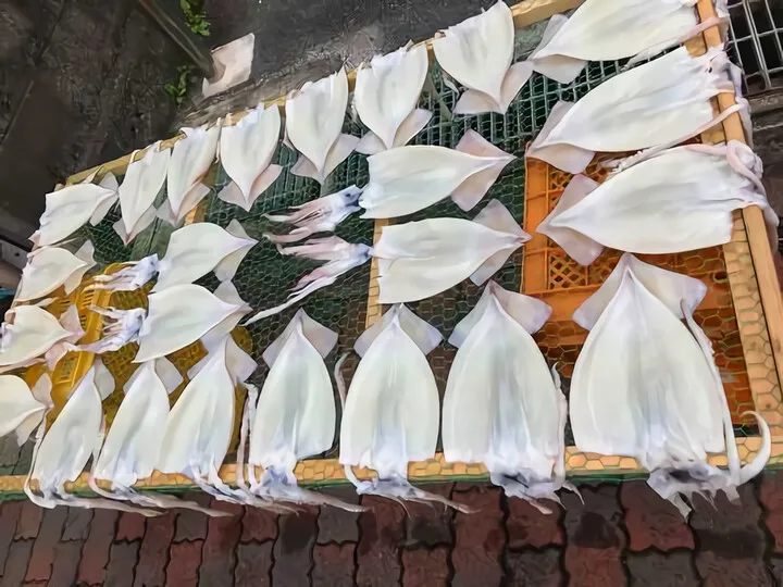熱海市咲見町 干し物