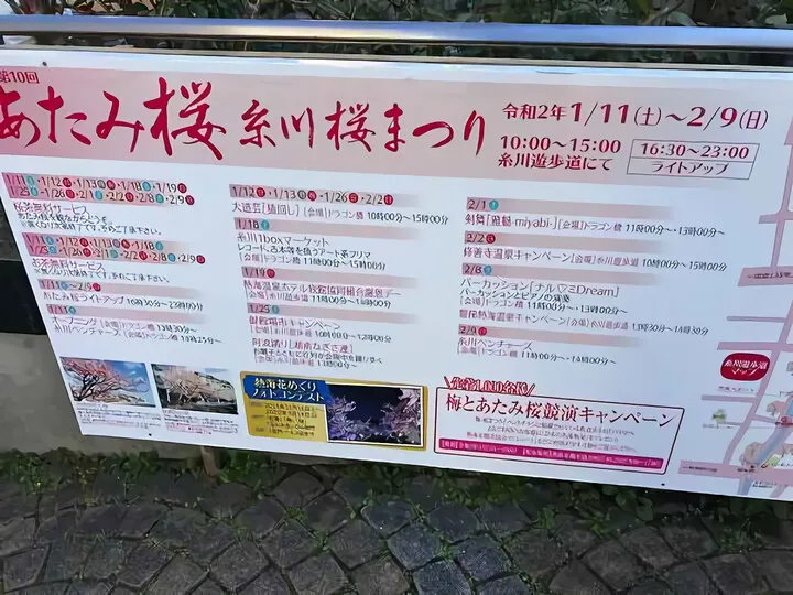 糸川桜まつり